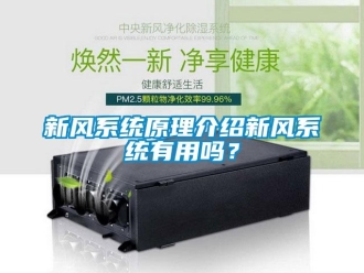 常见问题新风系统原理介绍新风系统有用吗？