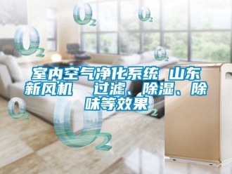 常见问题室内空气净化系统 山东新风机  过滤、除湿、除味等效果