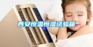 西安恒温恒湿试验箱