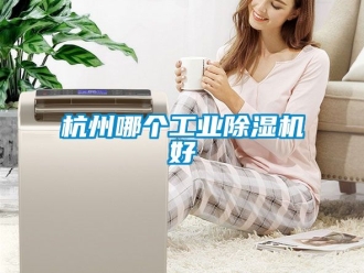 常见问题杭州哪个工业除湿机好
