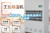 辣椒烘干，使用高温烘干除湿机