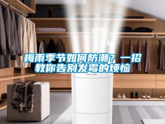 常见问题梅雨季节如何防潮？一招教你告别发霉的烦恼