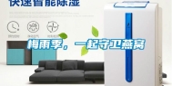 梅雨季，一起守卫燕窝