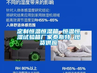 知识百科定制恒温恒湿箱 恒温恒湿试验箱厂家泰斯特 现货供应