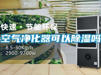 行业新闻空气净化器可以除湿吗