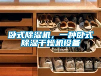 行业新闻卧式除湿机，一种卧式除湿干燥机设备
