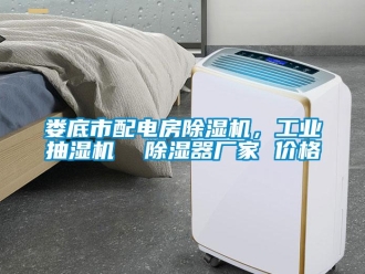 企业新闻娄底市配电房除湿机，工业抽湿机  除湿器厂家 价格