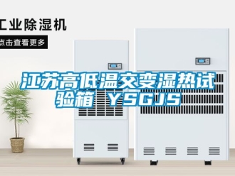 常见问题江苏高低温交变湿热试验箱 YSGJS