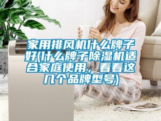 企业新闻家用排风机什么牌子好(什么牌子除湿机适合家庭使用，看看这几个品牌型号)