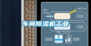 车间除湿机工业