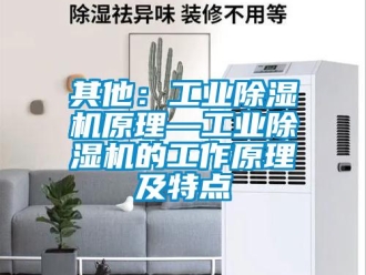 常见问题其他：工业除湿机原理—工业除湿机的工作原理及特点