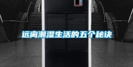 远离潮湿生活的五个秘诀