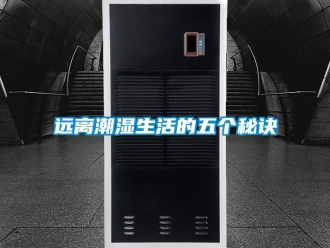 知识百科远离潮湿生活的五个秘诀