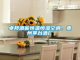 知识百科卓邦酒窖恒温恒湿空调，贵州茅台酒厂