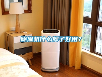 行业新闻除湿机什么牌子好用？