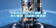 冷冻式压缩空气干燥机 油水分离器 过滤器 除湿机