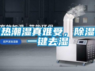 行业新闻闷热潮湿真难受，除湿机一键去湿