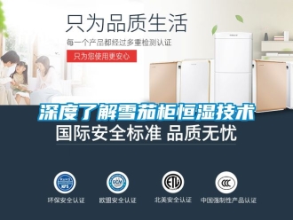 知识百科深度了解雪茄柜恒湿技术