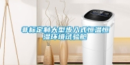 非标定制大型步入式恒温恒湿环境试验舱