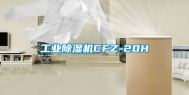 工业除湿机CFZ-20H