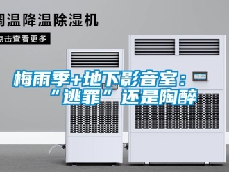 行业新闻梅雨季+地下影音室：“逃罪”还是陶醉