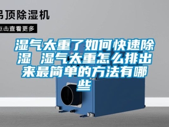 企业新闻湿气太重了如何快速除湿 湿气太重怎么排出来最简单的方法有哪些