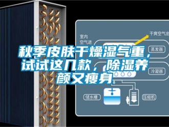 行业新闻秋季皮肤干燥湿气重，试试这几款，除湿养颜又瘦身