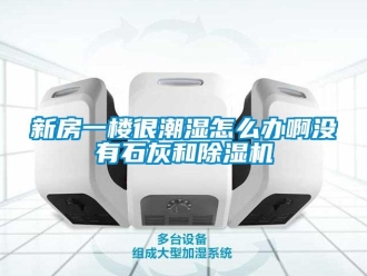 行业新闻新房一楼很潮湿怎么办啊没有石灰和除湿机