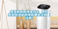 除湿机的原理是什么 不同类型除湿机原理有哪些区别【详解】