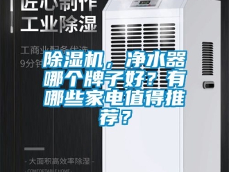 企业新闻除湿机，净水器哪个牌子好？有哪些家电值得推荐？