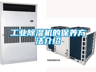 企业新闻工业除湿机的保养方法介绍