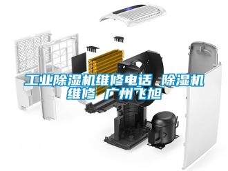 常见问题工业除湿机维修电话 除湿机维修 广州飞旭