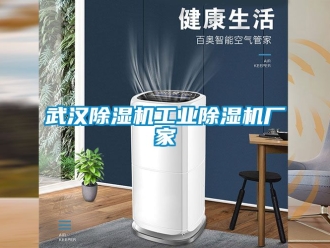企业新闻武汉除湿机工业除湿机厂家