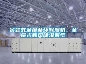 常见问题吊装式全屋循环除湿机，全屋式新风除湿系统