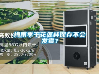 常见问题梅雨季干花怎样保存不会发霉？