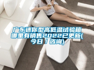 常见问题广东迷你型高低温试验箱哪里有销售2022已更新(今日／咨询)