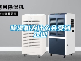 企业新闻除湿机为什么会受到欢迎