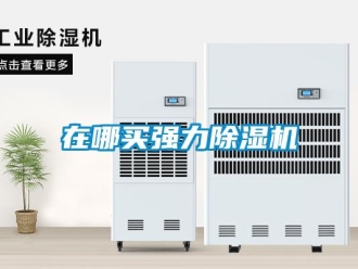 行业新闻在哪买强力除湿机
