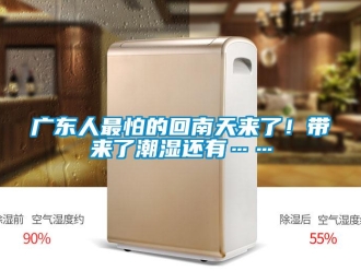 行业新闻广东人最怕的回南天来了！带来了潮湿还有……