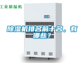 行业新闻除湿机排名前十名，有哪些？