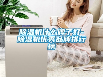企业新闻除湿机什么牌子好-除湿机优秀品牌排行榜