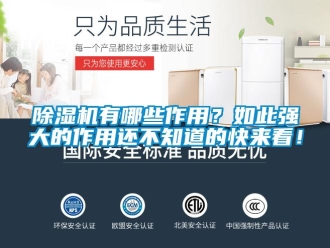 企业新闻除湿机有哪些作用？如此强大的作用还不知道的快来看！
