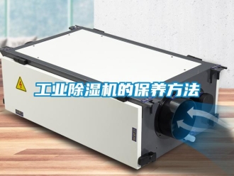 企业新闻工业除湿机的保养方法
