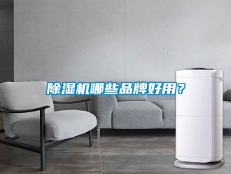 企业新闻除湿机哪些品牌好用？