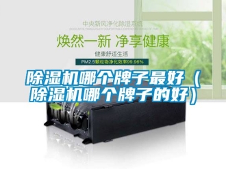 行业新闻除湿机哪个牌子最好（除湿机哪个牌子的好）