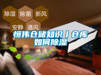 企业新闻恒伟仓储知识丨仓库如何除湿