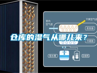 企业新闻仓库的湿气从哪儿来？