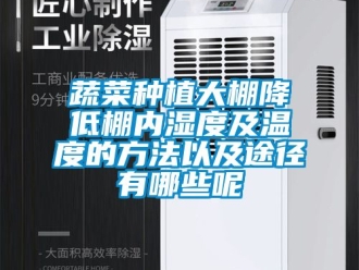企业新闻蔬菜种植大棚降低棚内湿度及温度的方法以及途径有哪些呢