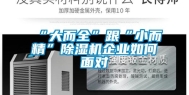 “大而全”跟“小而精”除湿机企业如何面对