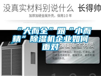 常见问题“大而全”跟“小而精”除湿机企业如何面对